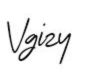 vgizy notes